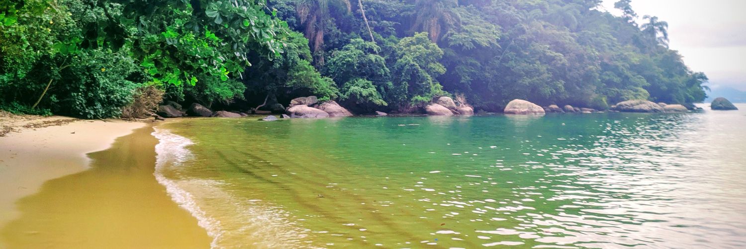 Camila Campos 🏳️‍🌈 banner