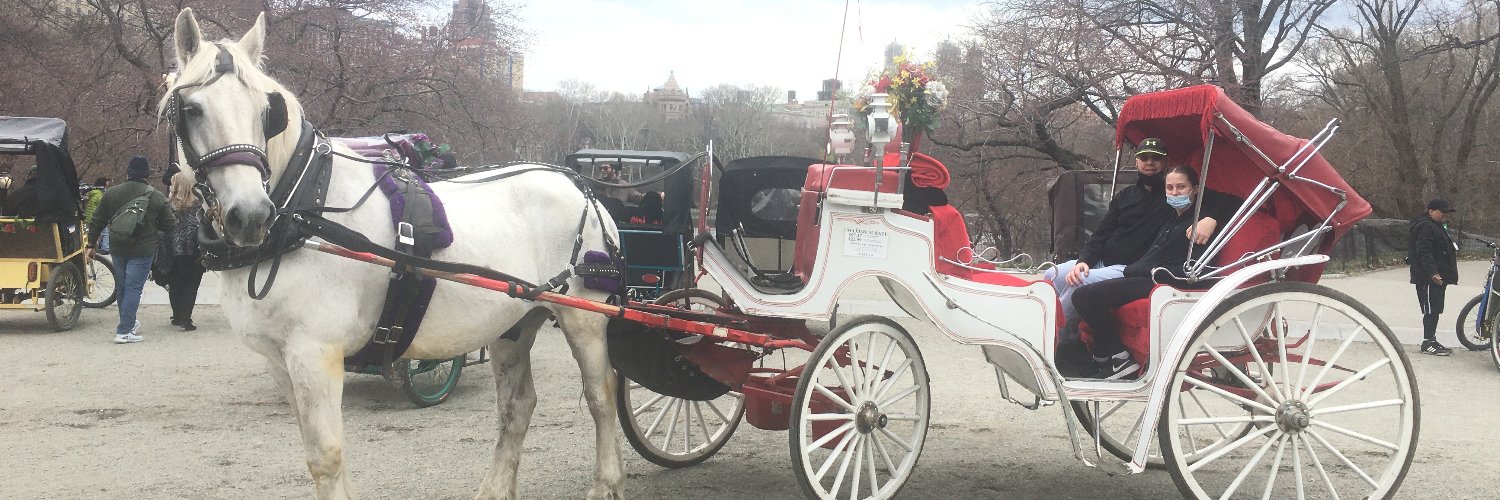 The Real S. L. D. banner