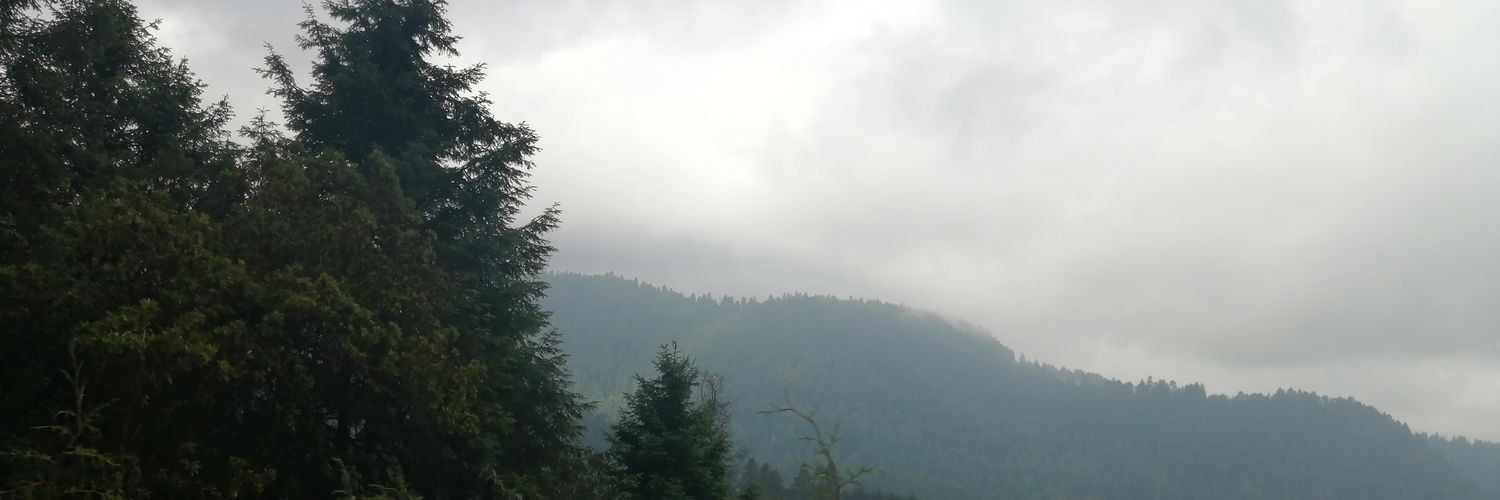 jcesaruano's profile banner image