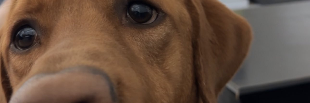 ScottCortina's profile banner image