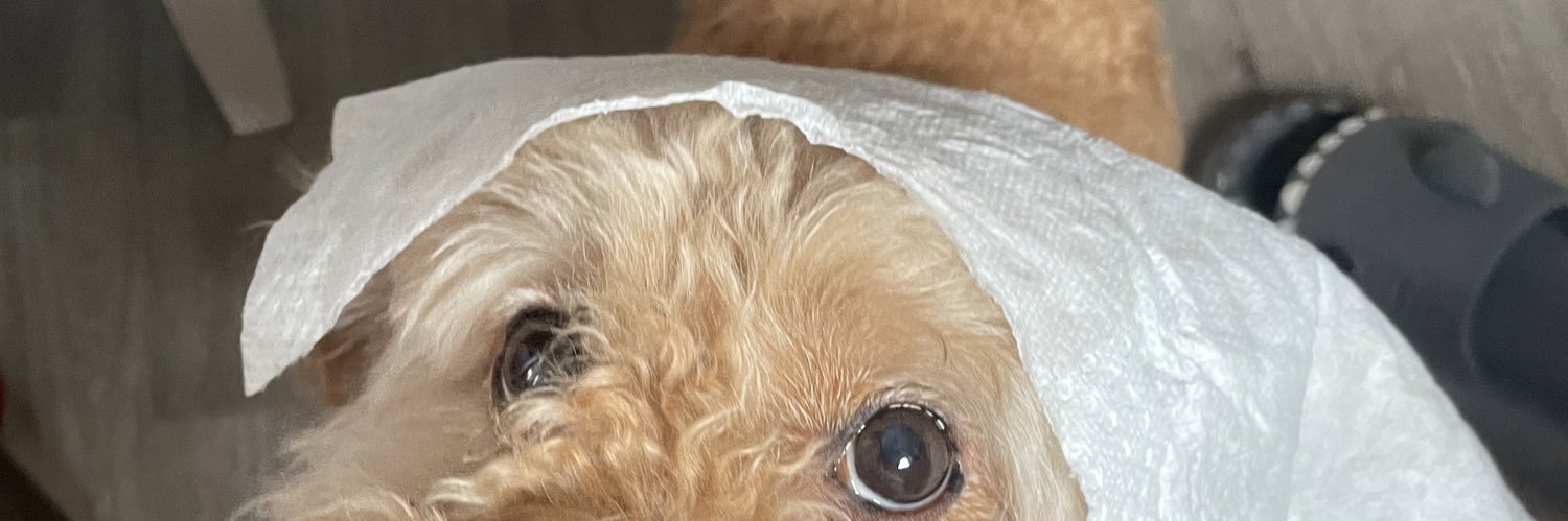 HunTySydney's profile banner image