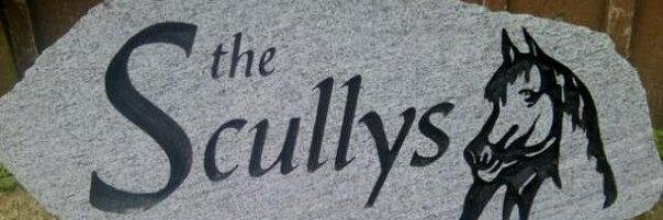 BobbiScully's profile banner image