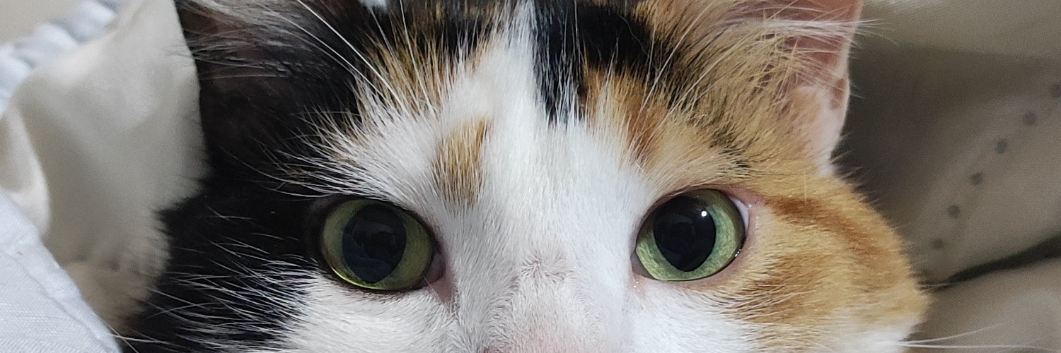 TaniaAcosta07's profile banner image
