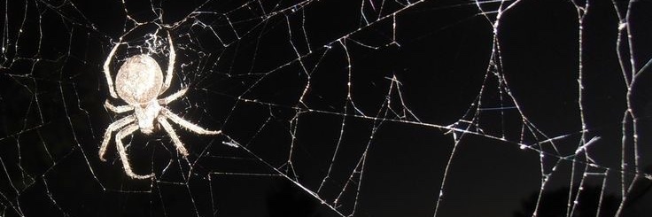 ! banner