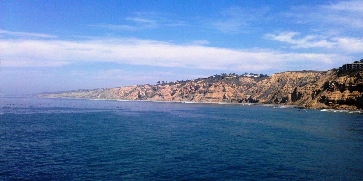 Stephen Shepherd banner