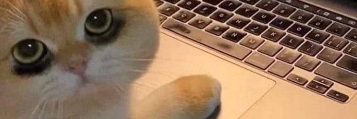sasupct's profile banner image