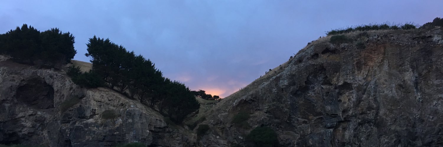 tessmullen's profile banner image