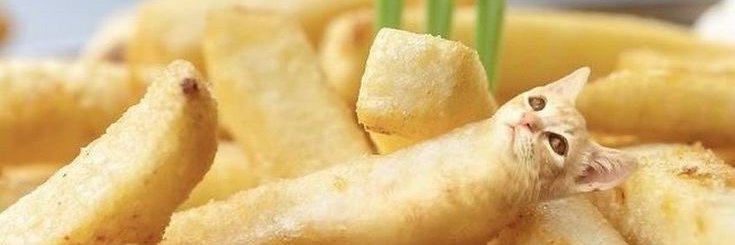 KITO ᶻ 𝗓 𐰁 banner