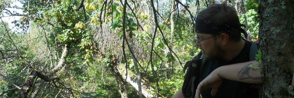 RobJPepe's profile banner image
