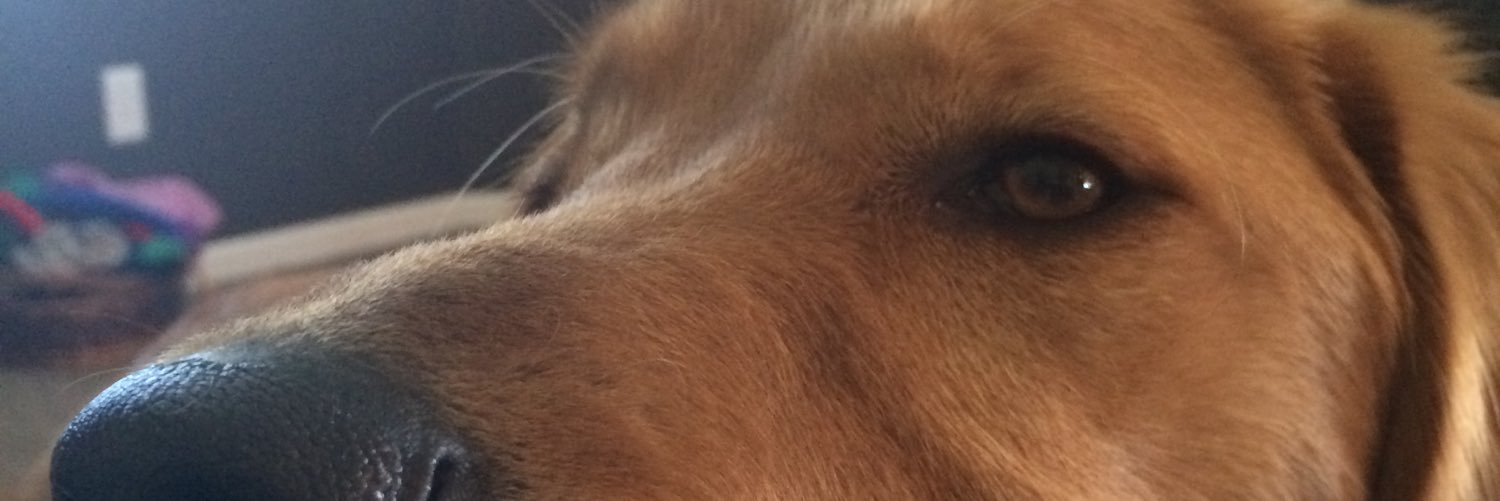 ssmeeds's profile banner image