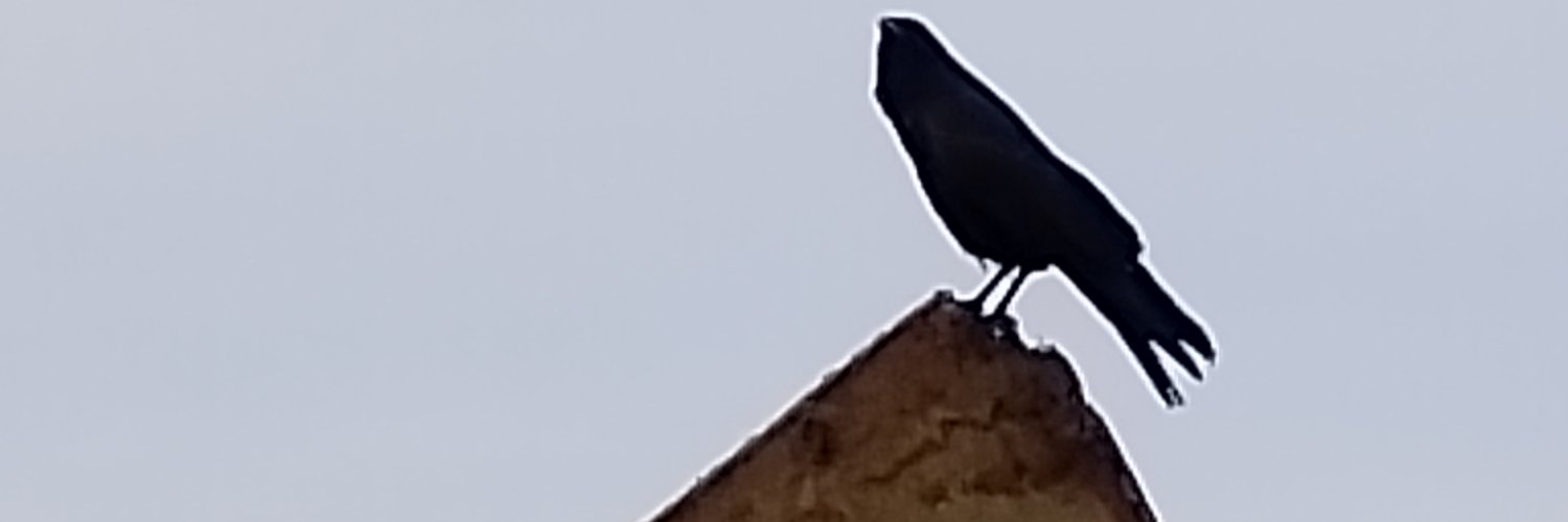 DERK! (DJ NO L👀K) (No L👀K Gaming) (Yung Godbody) banner