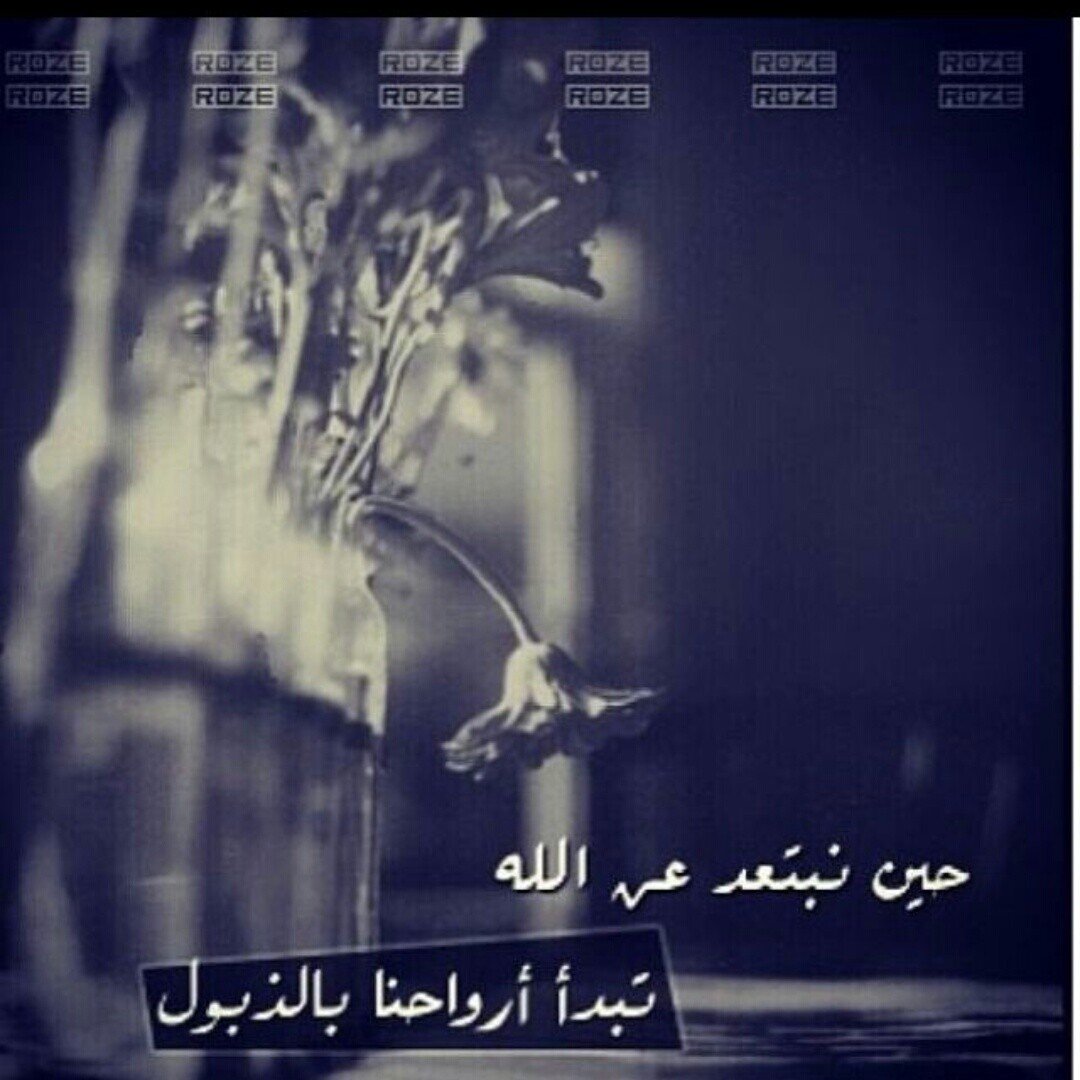 _mem_m's profile banner image