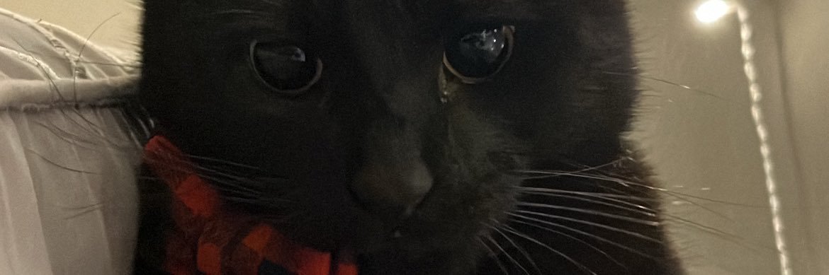 Ivanabinv's profile banner image