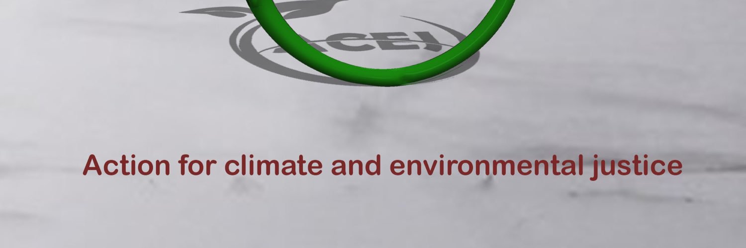 Action for climate and environmental justice's banner