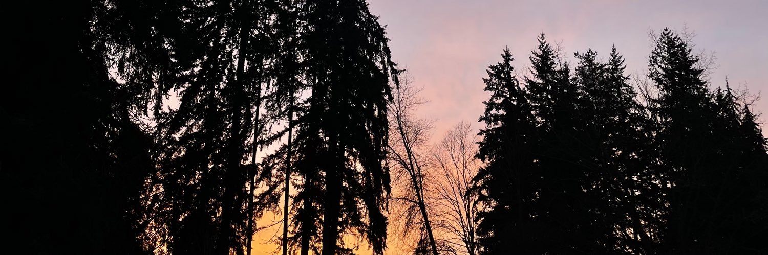 amyxmartinez's profile banner image