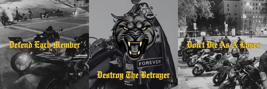 𝐓𝐇𝐄 𝐂𝐀𝐋𝐒 𝟏𝟖𝟗𝟕 🏴‍☠️ banner