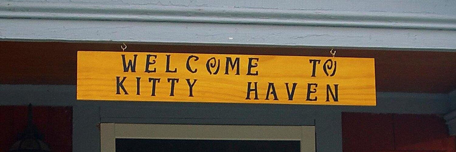 💞 Kitty Haven ⚥ 💞's banner