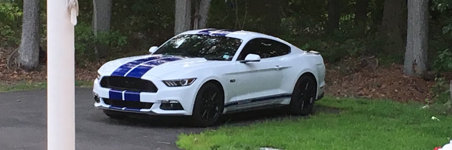 svsantos96's profile banner image