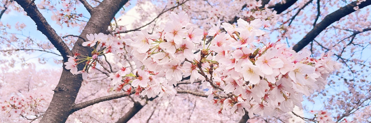 mimi_spring_'s profile banner image