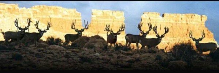 Joshua_James15's profile banner image