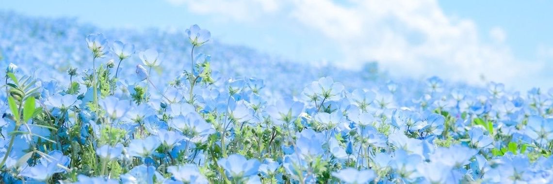 3737_16's profile banner image