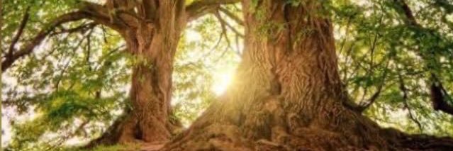 marilopez_3h's profile banner image