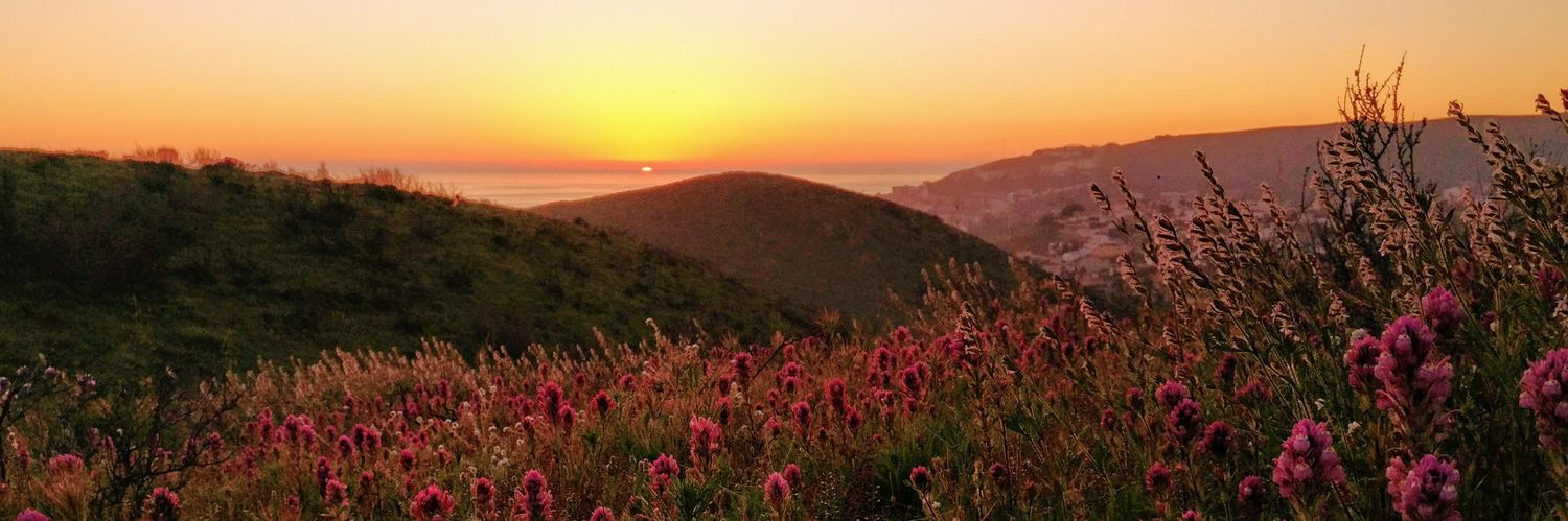 David Álvarez banner