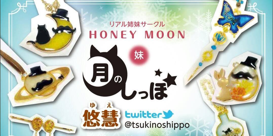 tsukinoshippo's profile banner image