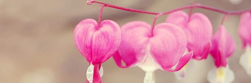 Its Me Chlooe banner