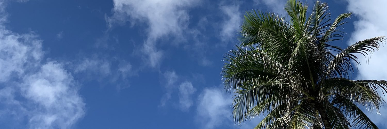 sampaiobea_'s profile banner image