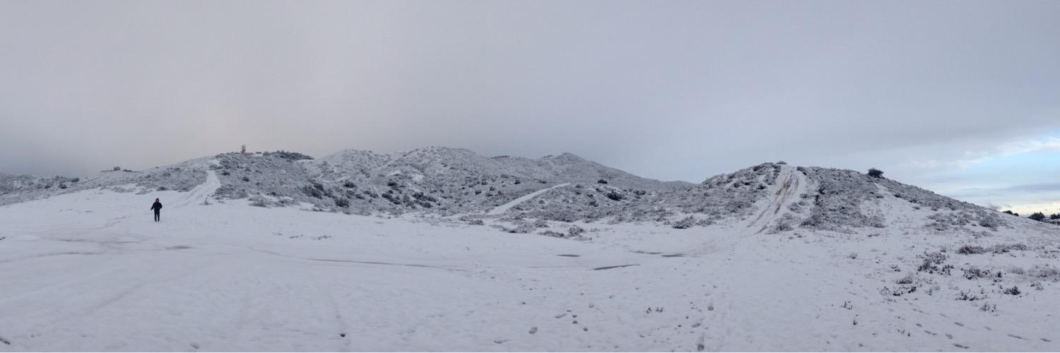 Daniel Stange banner