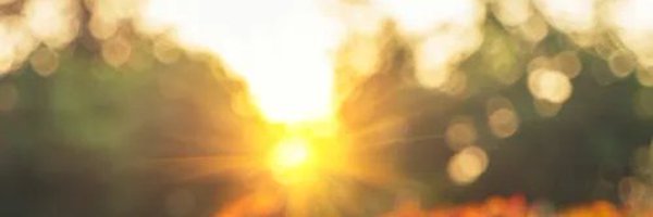 Chloee_Lovee Profile Banner