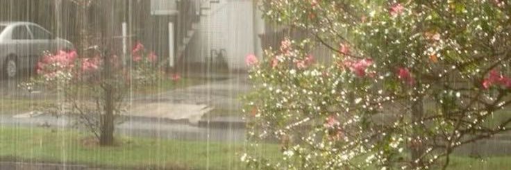 diaryofcassidy's profile banner image