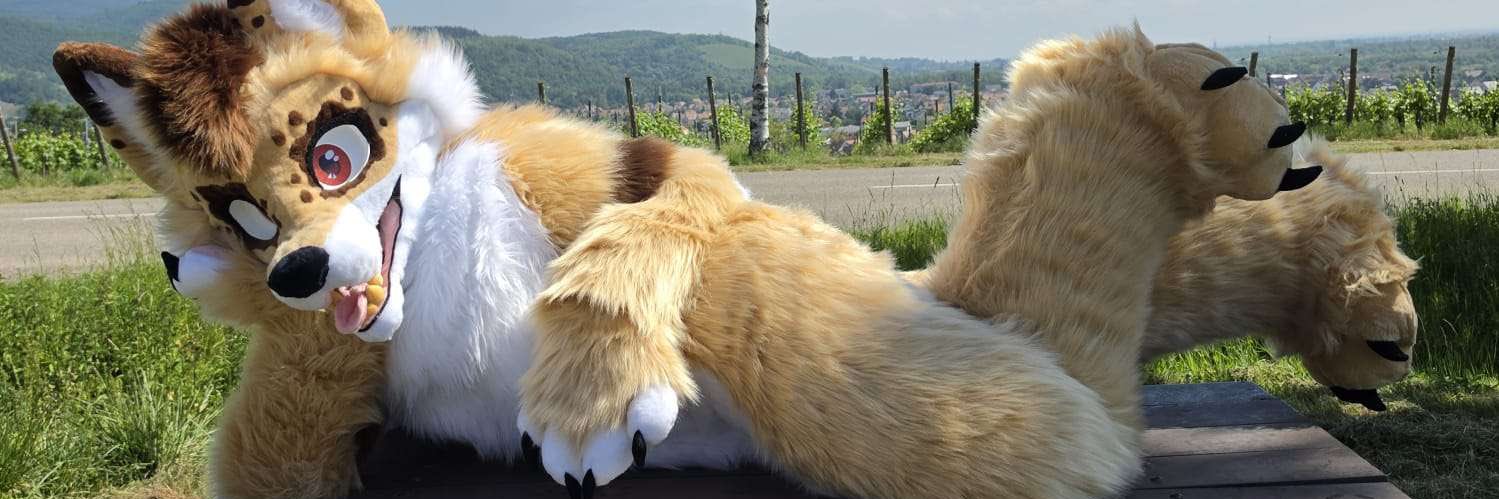 Skunko🐾 banner