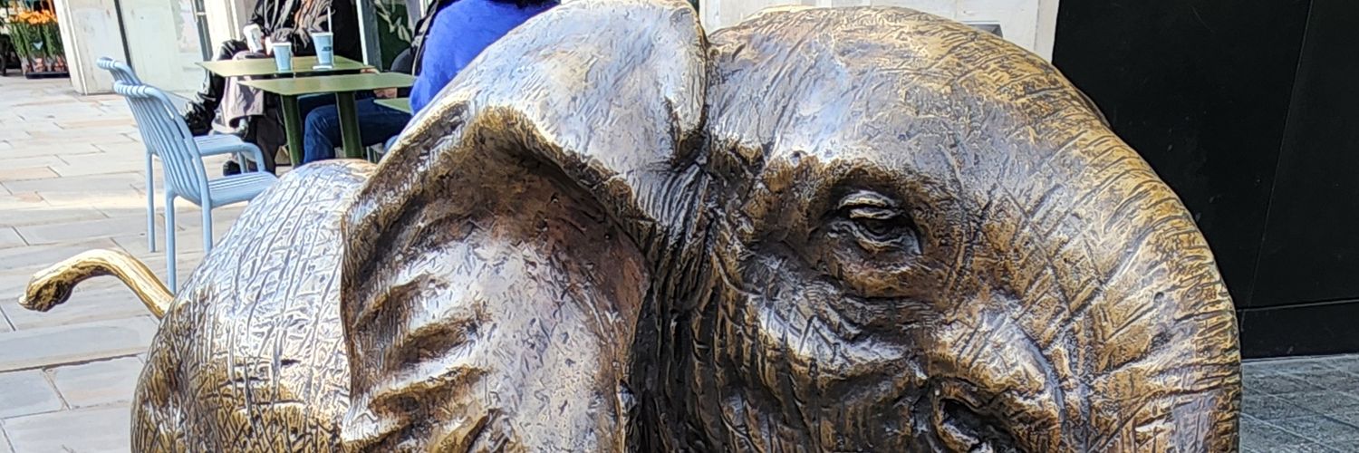 Lyn Difficult Woman @Life Is Good banner