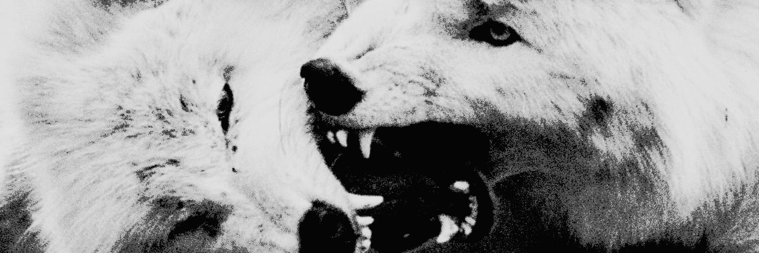 ᅠ𝗖𝗔𝗡𝗜𝗡𝗘⁎ banner