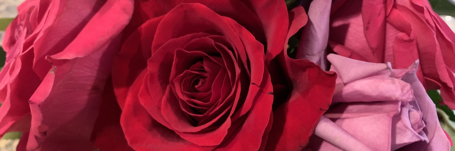 MagnoliaKaty's profile banner image