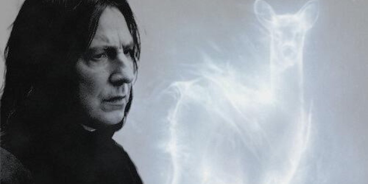 h_potterness's profile banner image