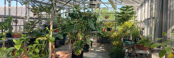 BeiserElla606 Profile Banner