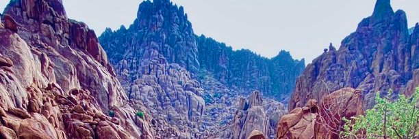 أبو لينار banner