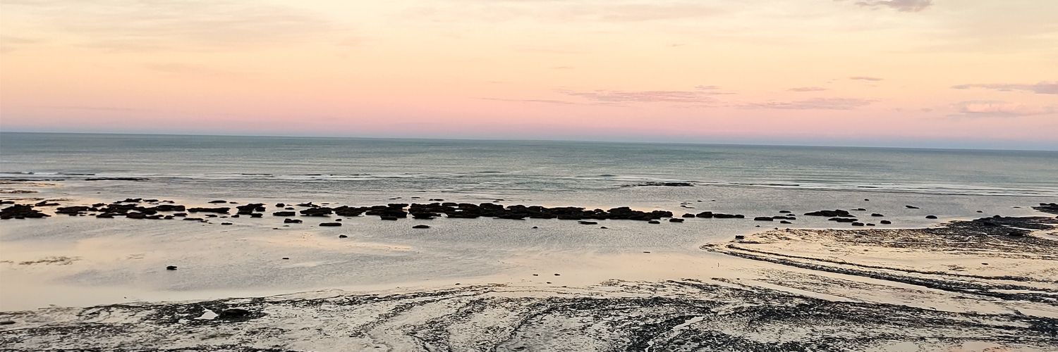 Ana Mariela Cestare banner