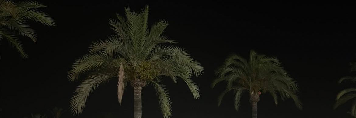 n3ylya's profile banner image