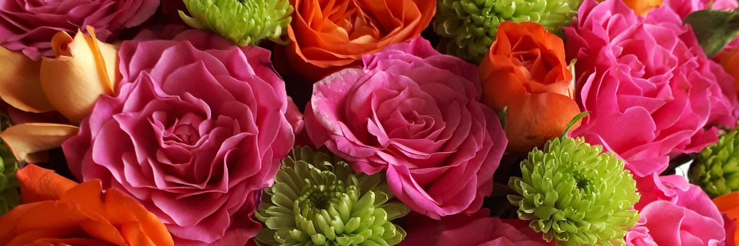 Elif banner