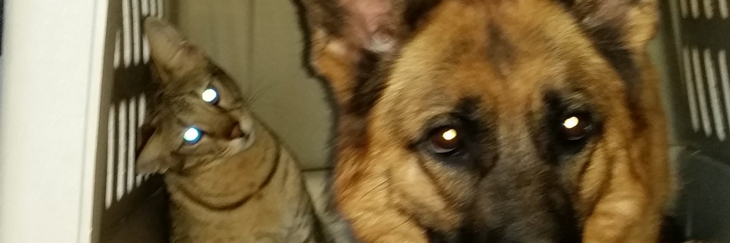 JHall74604's profile banner image