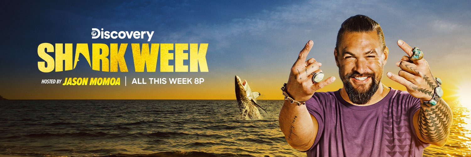 Bob The Shark banner