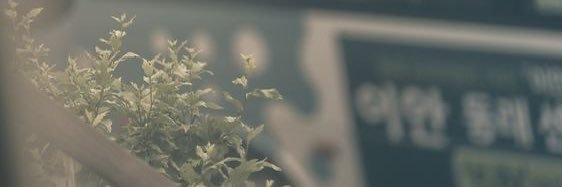 jimsbuzzi's profile banner image