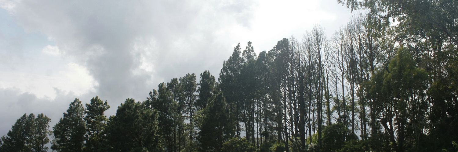 BlowerDesign's profile banner image