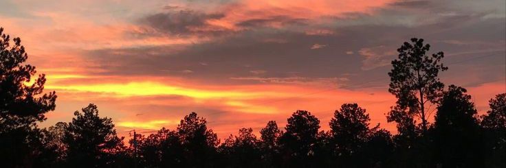 alpha♥️ banner