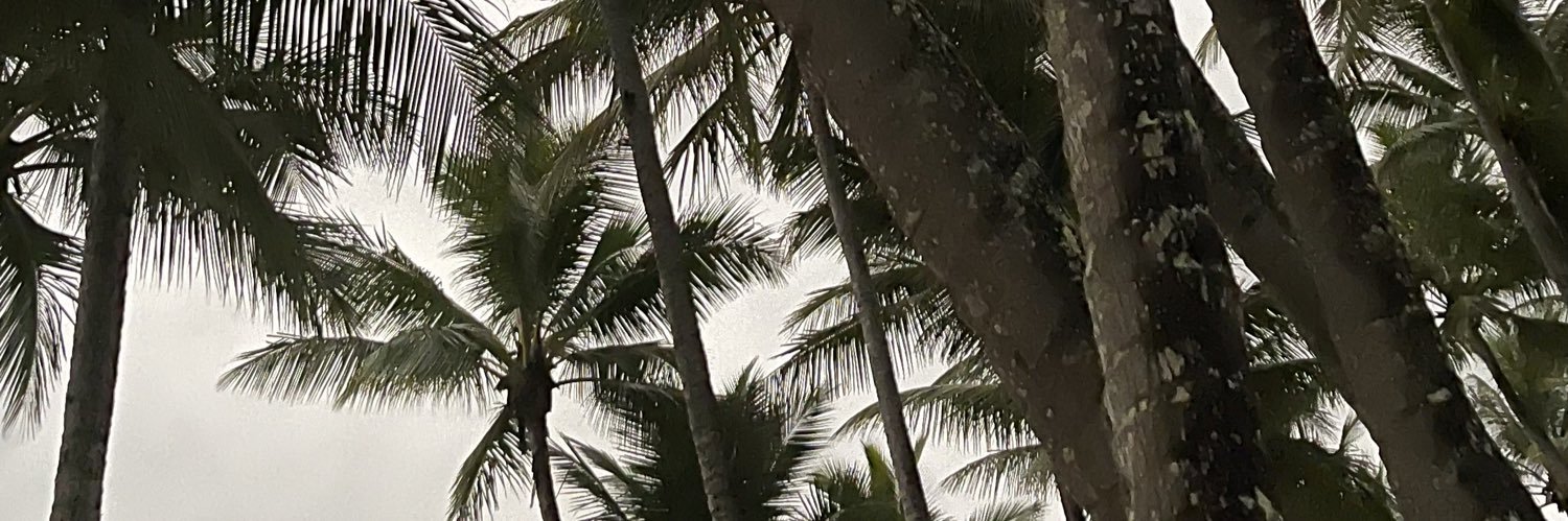 Jade | UGC Creator banner