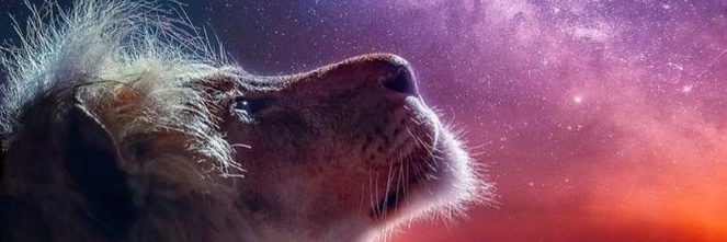Bchap1997's profile banner image